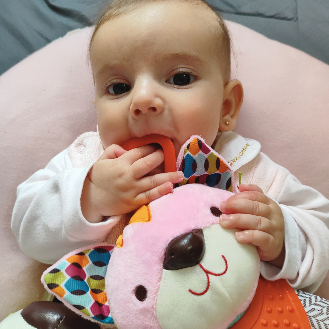 Pelúcia com Chocalho e Mordedor - Peluzoou