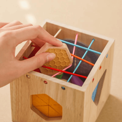 Brinquedo Multifuncional Montessori - Cubo com Cenouras | Bebê Colorido