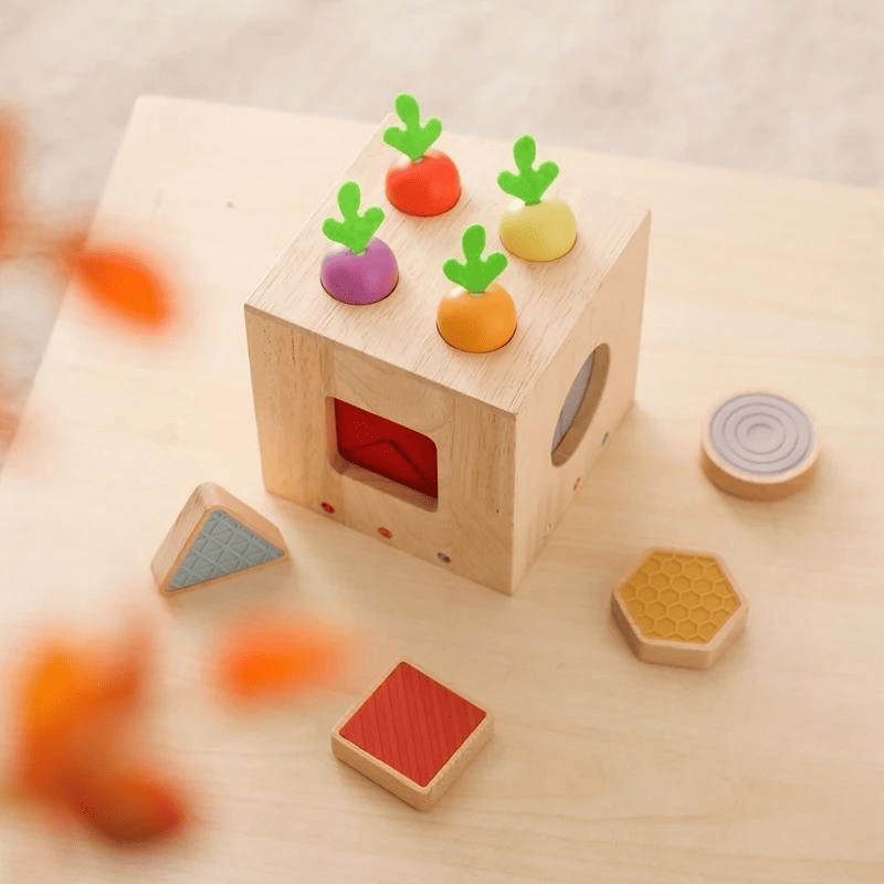 Brinquedo Multifuncional Montessori - Cubo com Cenouras | Bebê Colorido