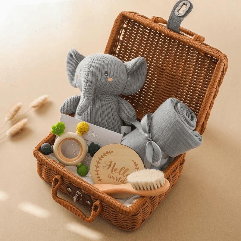 Kit de Presente Bebê Banho - 5pcs | Bebê Colorido